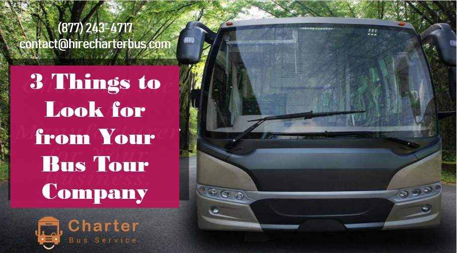 3 Things to Look for from Your Bus Tour Company