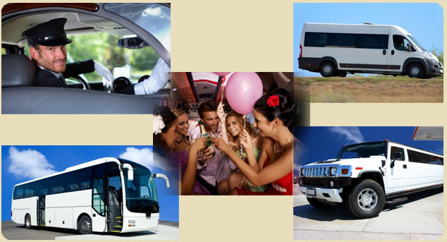 Hire Charter Bus Near Me