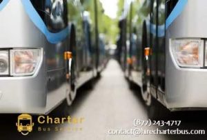 Mini-Charter-Bus-Service-Near-You-300x20