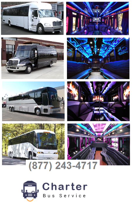 Why Miami Charter Bus Rental Should Be Preferred Over Public Transport?